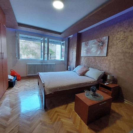 Cuca Apartments Belgrad Dış mekan fotoğraf