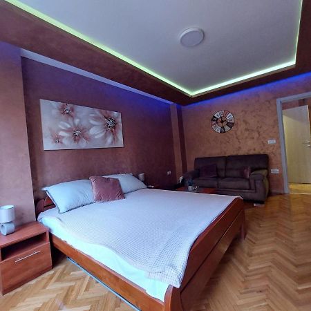 Cuca Apartments Belgrad Dış mekan fotoğraf