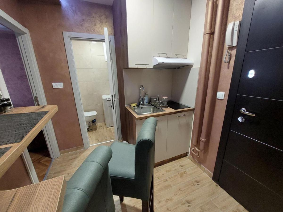 Cuca Apartments Belgrad Dış mekan fotoğraf