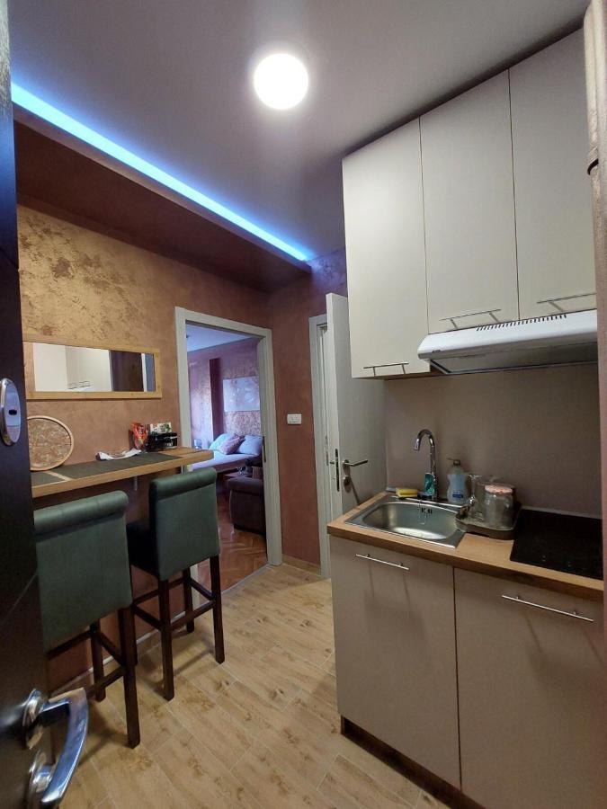 Cuca Apartments Belgrad Dış mekan fotoğraf